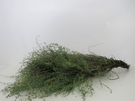 Thymian wild 1kg