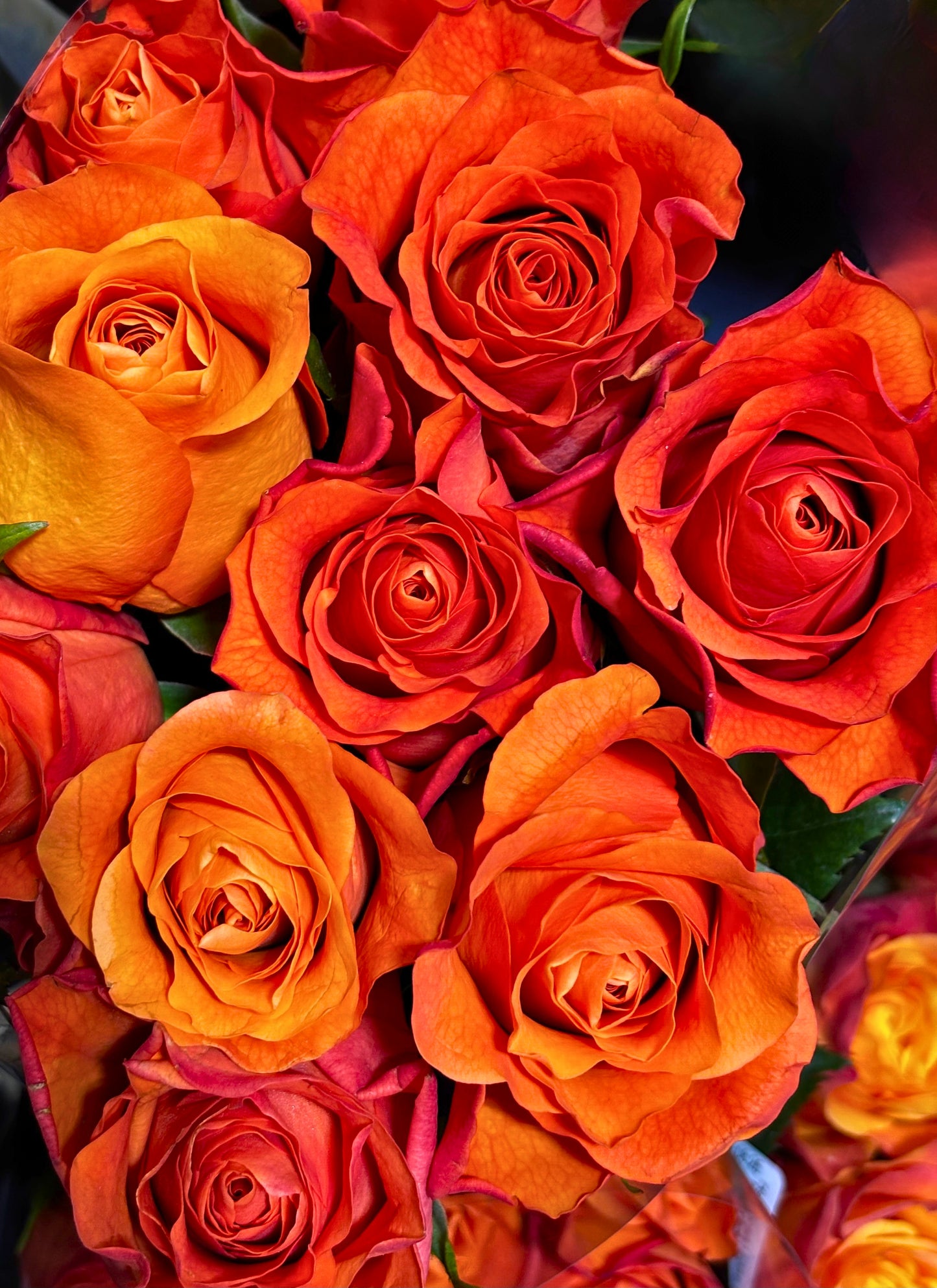Rosen