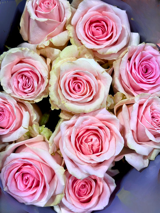 Rosen